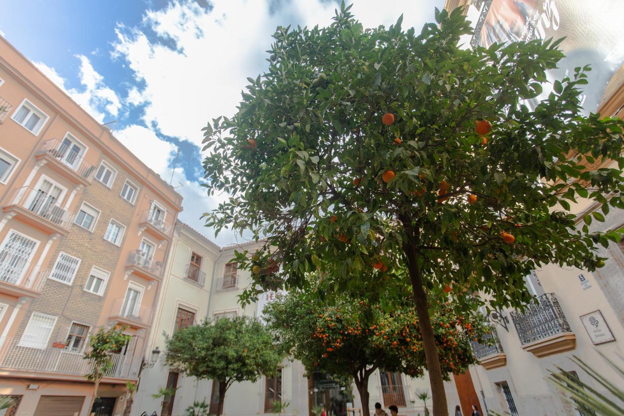 Vlc - Tranquilo Apartamento En Plaza Cisneros Валенсия Экстерьер фото